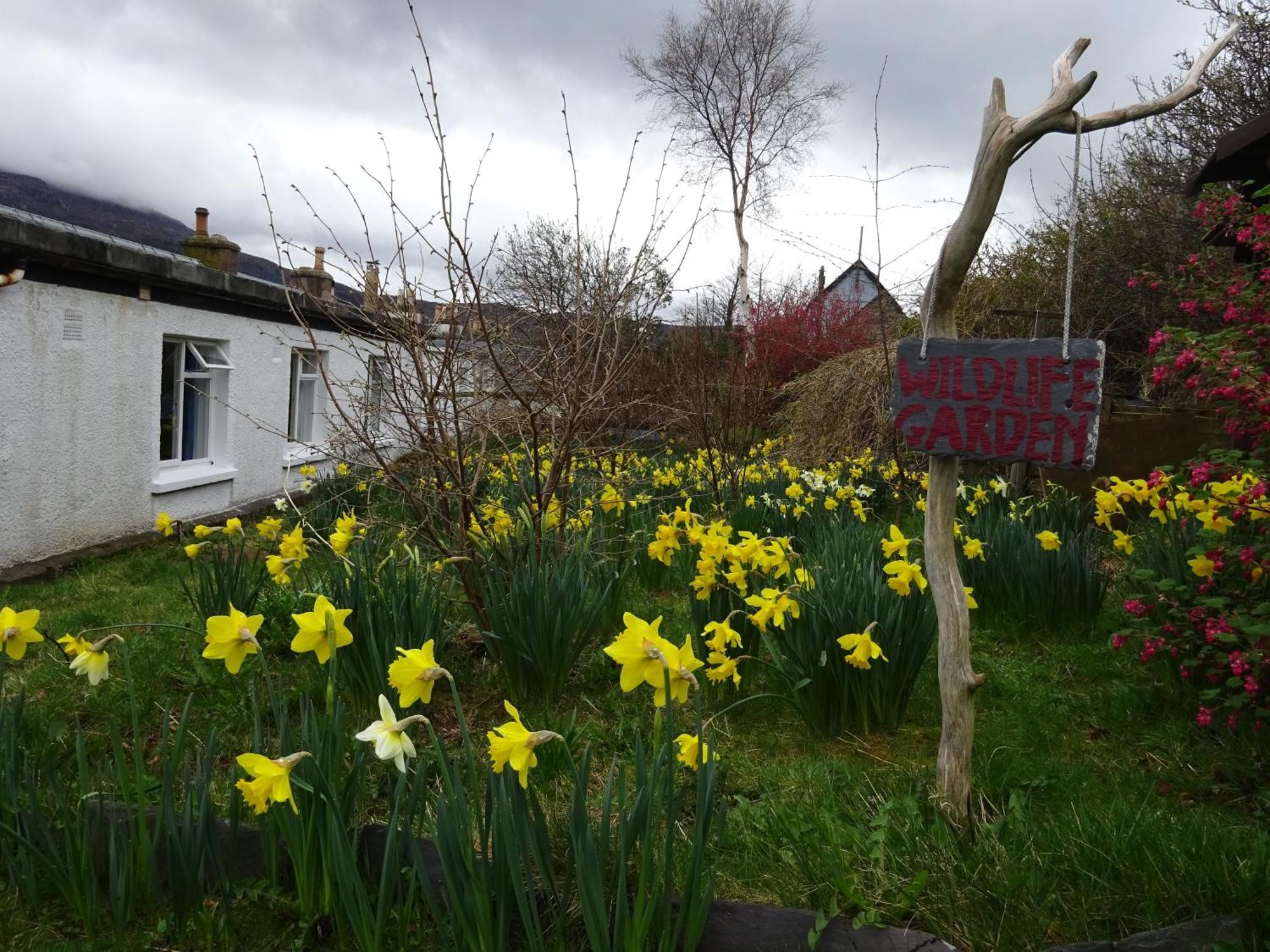 Ullapool Youth Hostel Exterior foto